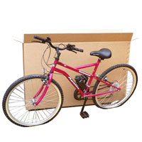 Ladies and Gents Bike Box